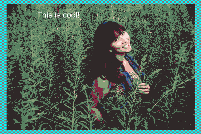 Image Manipulation Project Screenshot